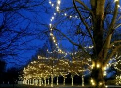 Commercial Grade Wide Angle 100 LED Warm White 50' Long On Green Wire 16 Commercial Grade Wide Angle 100 LED Warm White 50' Long On Green Wire -Hallmark Sales Store 0019882 commercial grade wide angle 100 led warm white 50 long on green wire