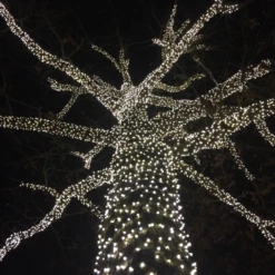 50 LED Pure White LED Christmas Lights 11' Long On Green Wire 15 50 LED Pure White LED Christmas Lights 11' Long On Green Wire -Hallmark Sales Store 0020828 50 led pure white led christmas lights 11 long on green wire