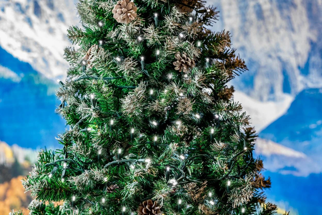 50 LED Pure White LED Christmas Lights 11' Long On Green Wire 10 50 LED Pure White LED Christmas Lights 11' Long On Green Wire - Image 8