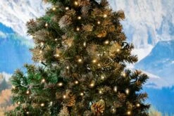 Commercial Grade Wide Angle 100 LED Warm White 50' Long On Green Wire 23 Commercial Grade Wide Angle 100 LED Warm White 50' Long On Green Wire -Hallmark Sales Store 0031982 commercial grade wide angle 100 led warm white 50 long on green wire