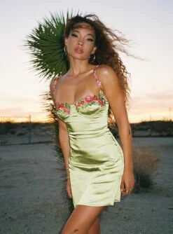 Princess Polly Kenzie Mini Dress Green