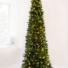 The Pre-Lit Green Italian Pencilimo Tree