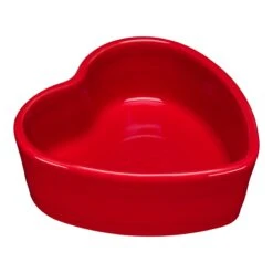 Fiesta Heart Ramekin -Hallmark Sales Store 1615326