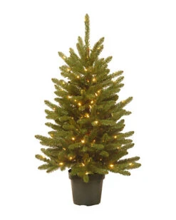 National Tree Company 4' Kensington In Green Growers Pot Home