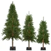 Christmas Central Set Of 3 Pre-Lit Slim Alpine Artificial Christmas Trees 6' - Clear Lights -Hallmark Sales Store 6046296