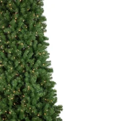 Christmas Central 15' Pre-Lit Pendleton Spruce Slim Artificial Christmas Tree Clear Lights -Hallmark Sales Store 6050861 ALT2