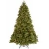 National Tree Company 7.5 Ft. Downswept Douglas® Fir Tree With Dual Color® LED Lights