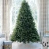 King Of Christmas 12' Royal Fir Quick-Shape Artificial Christmas Tree With 2000 Warm White & Multi-Color LED Lights 2 King Of Christmas 12' Royal Fir Quick-Shape Artificial Christmas Tree With 2000 Warm White & Multi-Color LED Lights -Hallmark Sales Store FlockedGroup 8 42ab7302 31fe 4e4d 9784 a311dd685583
