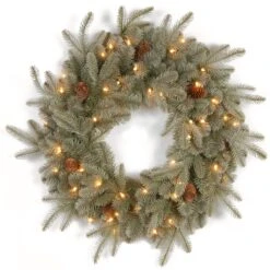 National Tree Company Pre-Lit Artificial 'Feel Real' Christmas Wreath, Green, Frosted Arctic Spruce, White Lights, Decorated With Pine Cones, Christmas Collection, 24 Inches