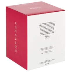 Hallmark The Peanuts® Gang Christmastime Is Here Musical Ornament With Motion -Hallmark Sales Store Peanuts Gang Ice Skating Keepsake Ornament 3999QXI7037 05