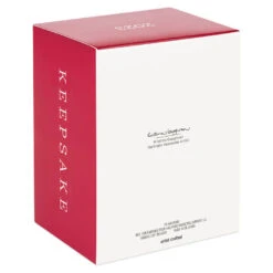 Hallmark Star Wars: Return Of The Jedi™ A Curious Encounter On Endor™ Ornament -Hallmark Sales Store Return of the Jedi Wicket Ewok Keepsake Ornament 2699QXI7097 05