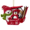 Kurt Adler Penguin And Polar Bear In Gondola Ornament