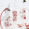 Raz Eric Cortina Clear Glass Peppermint Candy Jar Glass Christmas Ornament -Hallmark Sales Store apicc8eot 66526.1646091954