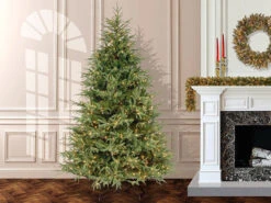 7.5’ Pre-Lit Frasier Grande Artificial Christmas Tree – Dual Color LED Lights -Hallmark Sales Store dnat pefg4 308ld 75 3 46882.1667519855