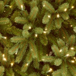 12’ Pre-Lit Jersey Fraser Artificial Christmas Tree - Clear Lights -Hallmark Sales Store dnat pejf1 300 120 3 82611.1667529153