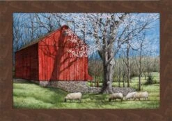 Framed Print - The Red Barn - 33x22 - Dan Campanelli