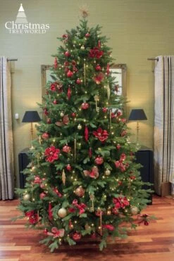 The 16ft Woodland Pine Tree 10 The 16ft Woodland Pine Tree -Hallmark Sales Store full 5 11
