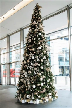 The 16ft Woodland Pine Tree