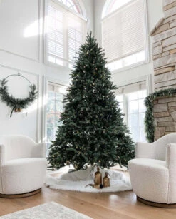 King Of Christmas 10' King Fraser Fir Quick-Shape Artificial Christmas Tree With 1600 Warm White & Multi-Color LED Lights -Hallmark Sales Store king fraser fir king of christmas 19d096ca b9d2 4f62 9dbb d9f5bfa2b66e