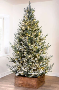 The 10ft Pre-lit Frosted Ultra Mountain Pine -Hallmark Sales Store kmc3554 7