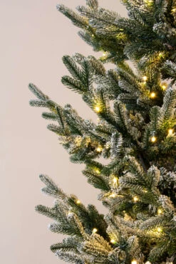 The 10ft Pre-lit Frosted Ultra Mountain Pine -Hallmark Sales Store kmc3555 1 1