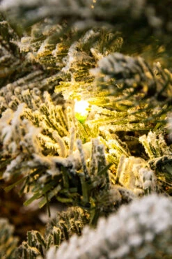 The 10ft Pre-lit Frosted Ultra Mountain Pine -Hallmark Sales Store kmc3559 1 1