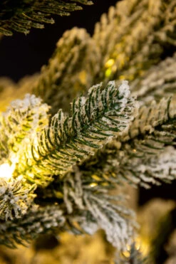 The 10ft Pre-lit Frosted Ultra Mountain Pine -Hallmark Sales Store kmc3560 1 1