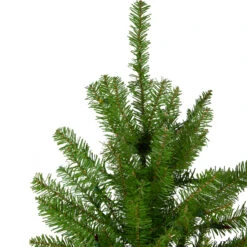 6.5' Northern Pine Full Artificial Christmas Tree, Unlit 10 6.5' Northern Pine Full Artificial Christmas Tree, Unlit -Hallmark Sales Store northlight z84652 2 57516.1684419790