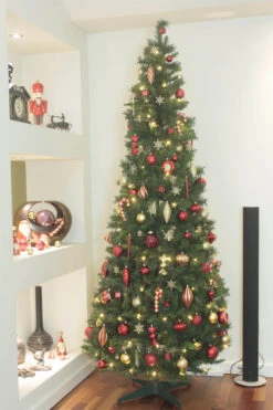 Pre-Lit Pop Up Christmas Tree (6ft To 7ft) -Hallmark Sales Store pop up full 3