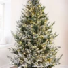 The 10ft Pre-lit Frosted Ultra Mountain Pine